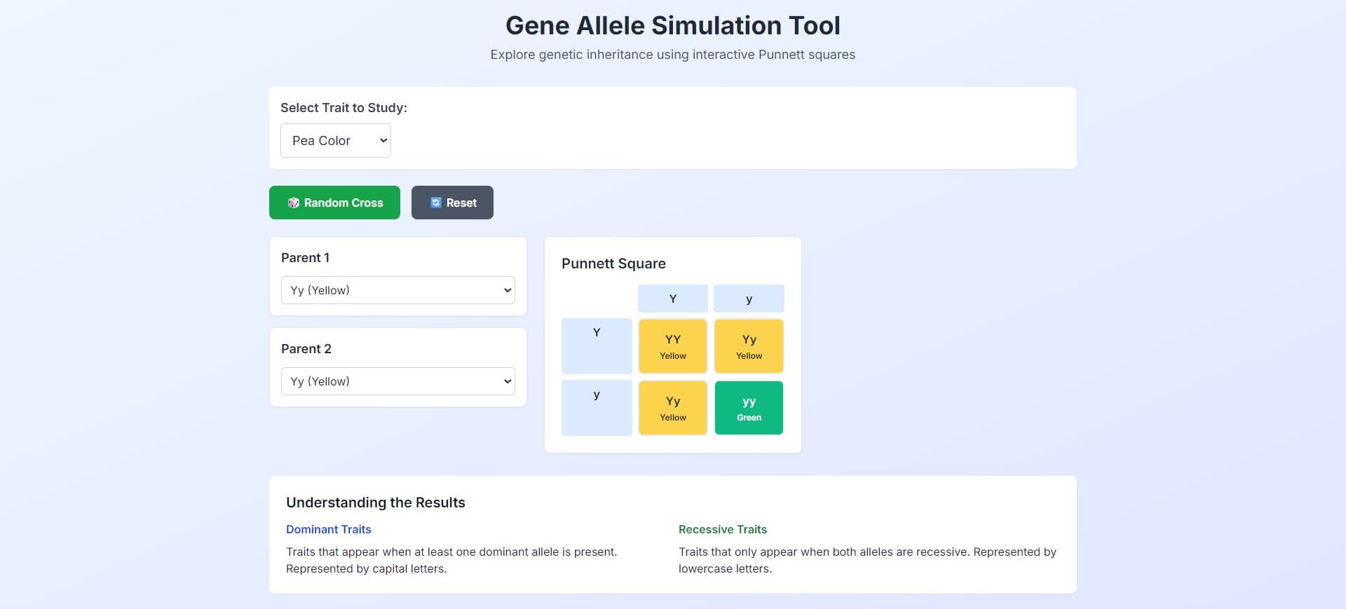 Screenshot of Punnett Square Visualizer