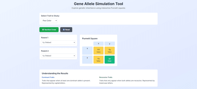 Punnett Square Visualizer